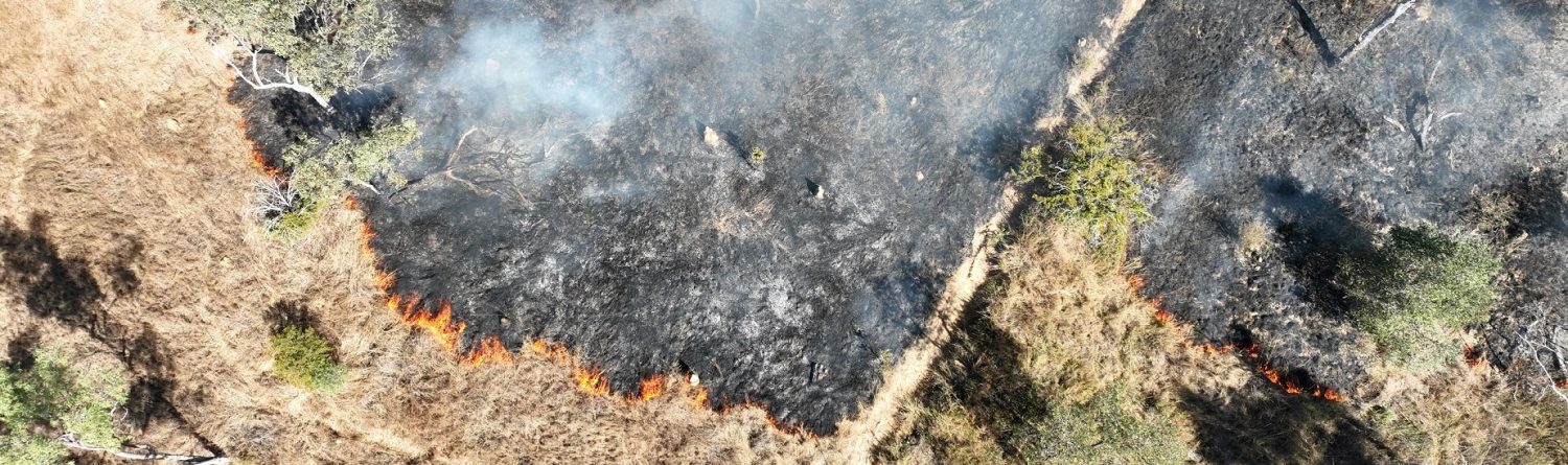 Aerial view of low intensity fire-edge moving slowly through old grass to revitalise landscape